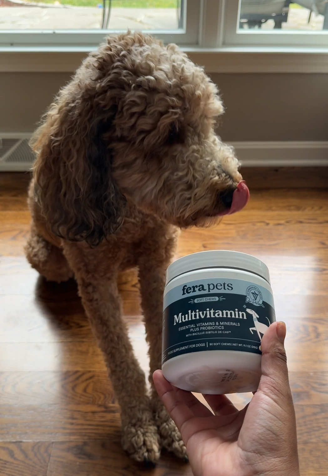 Fera Pets multivitamin UGC video